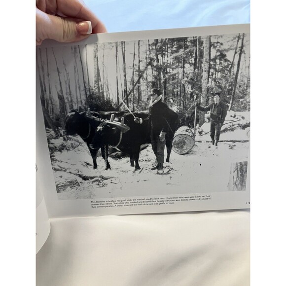 Cut & Run Loggin' Off The Big Woods Mike Monte Schiffer Paperback Lumber Logging - Picture 4 of 4